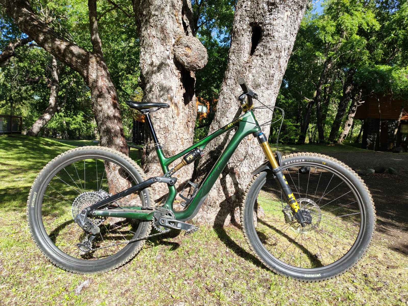 Specialized Stumpjumper 15 Pro