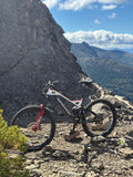 Mondraker Dune XR