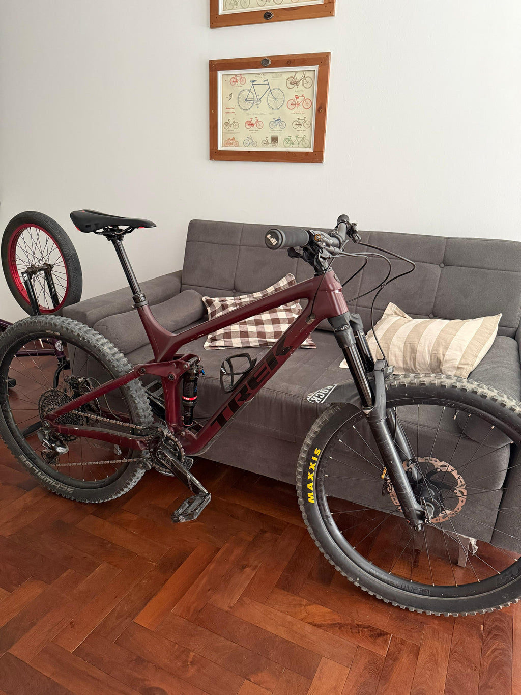 TREK REMEDY 9.7