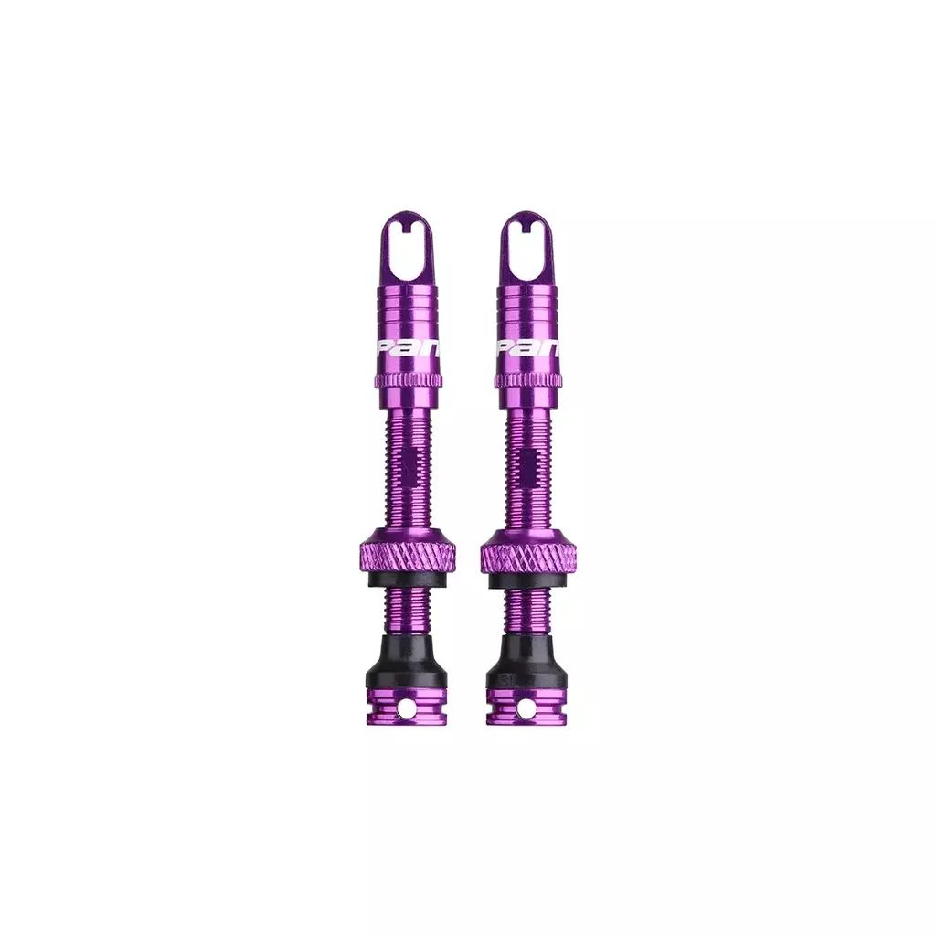 SPANK FRATELLI TUBELESS VALVE KIT