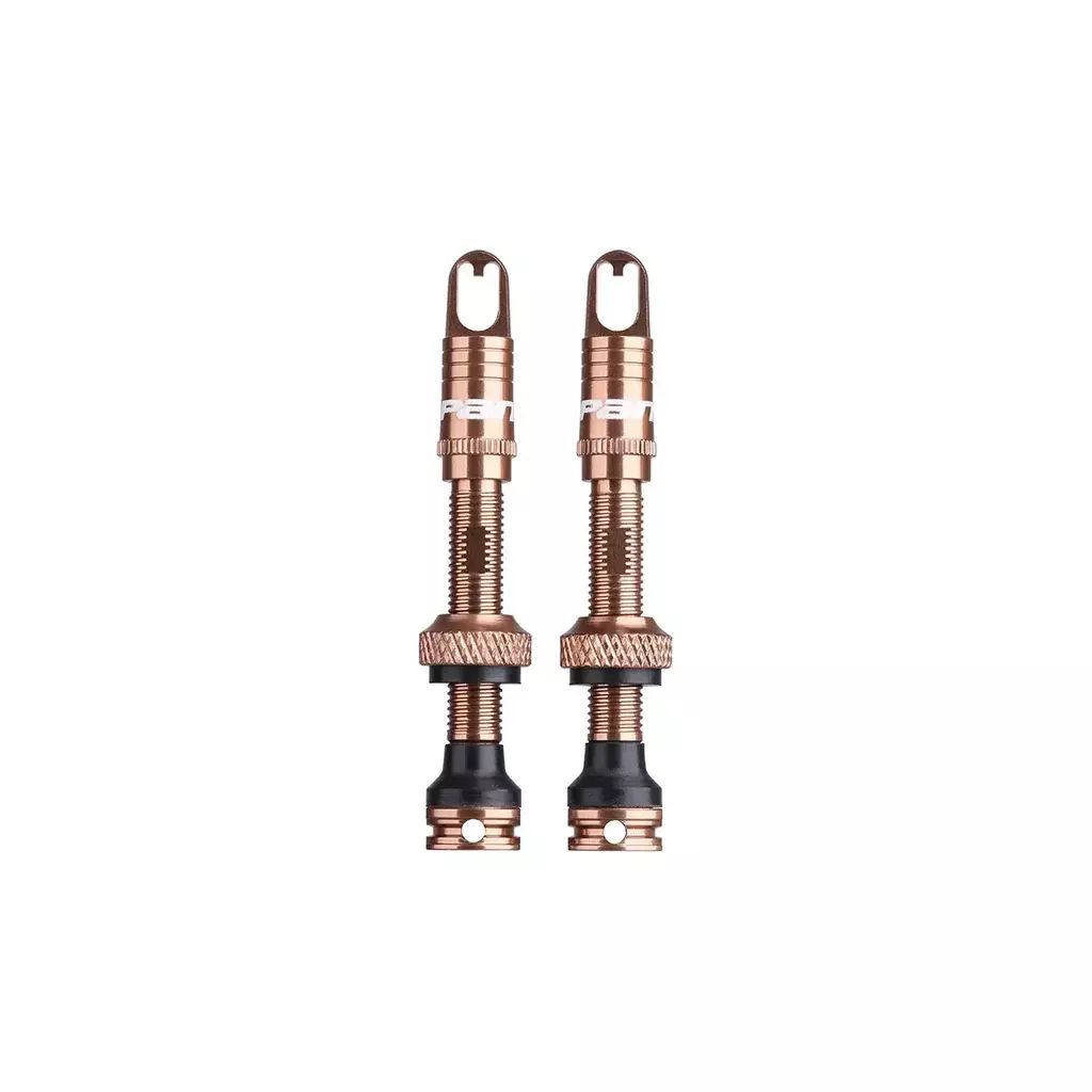 SPANK FRATELLI TUBELESS VALVE KIT