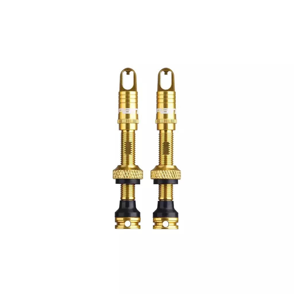 SPANK FRATELLI TUBELESS VALVE KIT