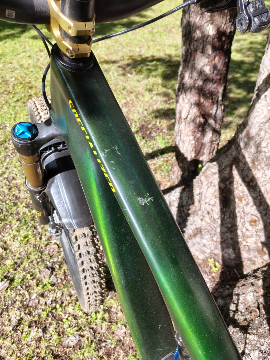 Specialized Stumpjumper 15 Pro