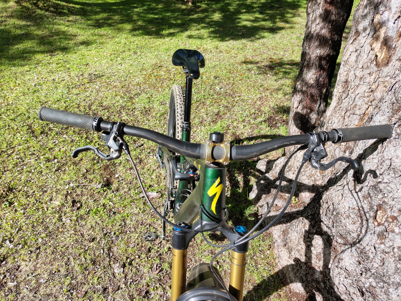 Specialized Stumpjumper 15 Pro