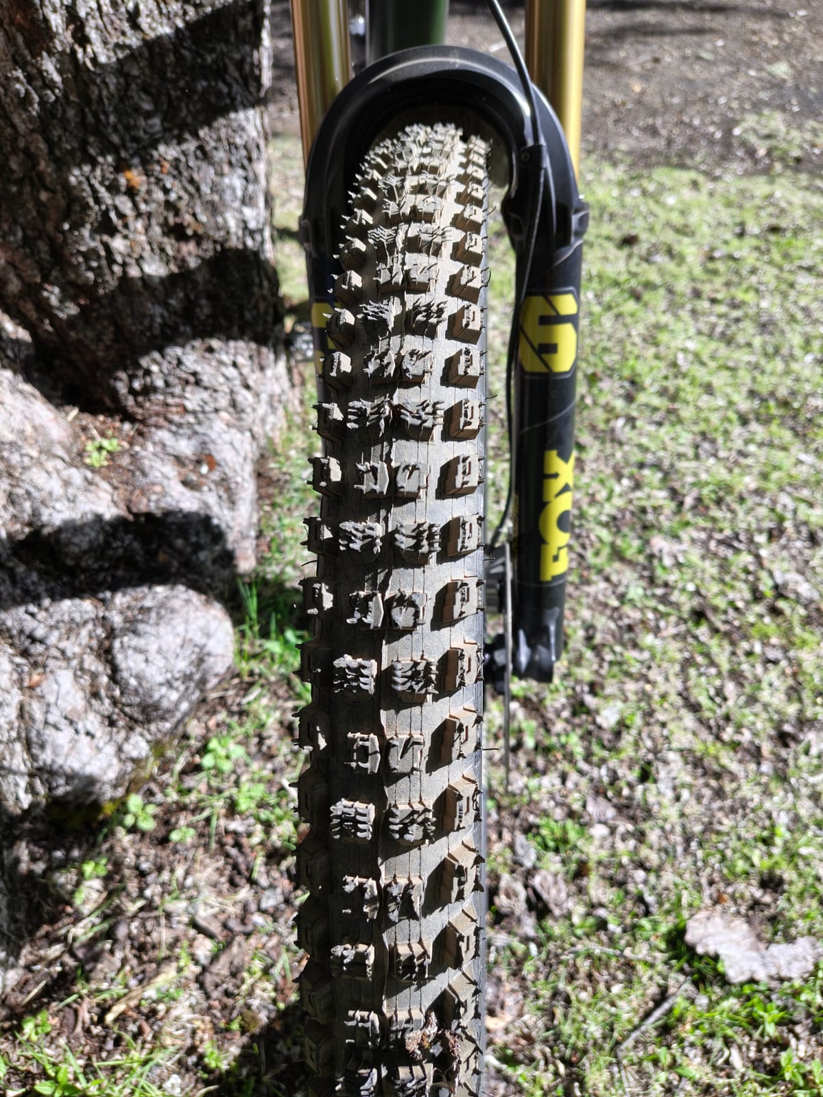 Specialized Stumpjumper 15 Pro