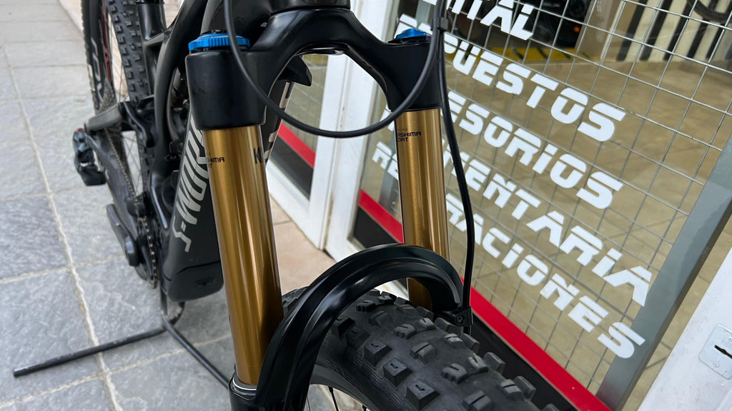 Specialized Turbo Levo S-Works Gen2