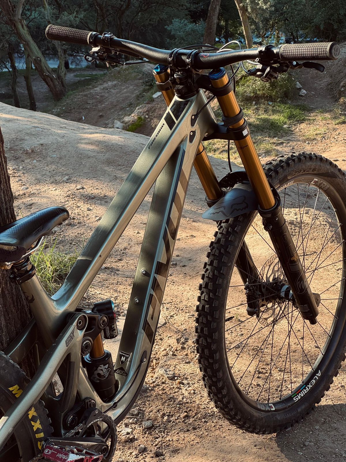 PIVOT FIREBIRD