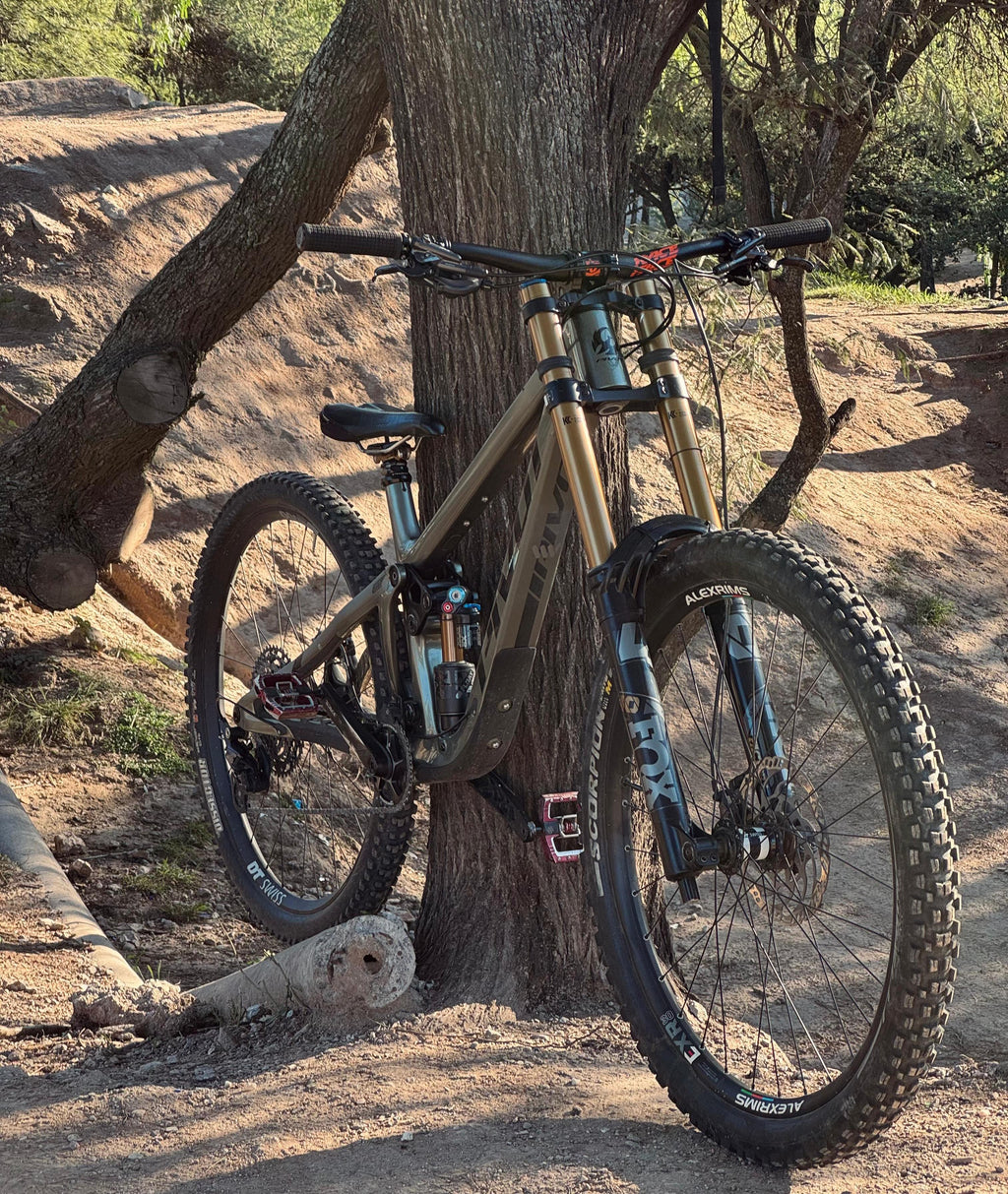 PIVOT FIREBIRD