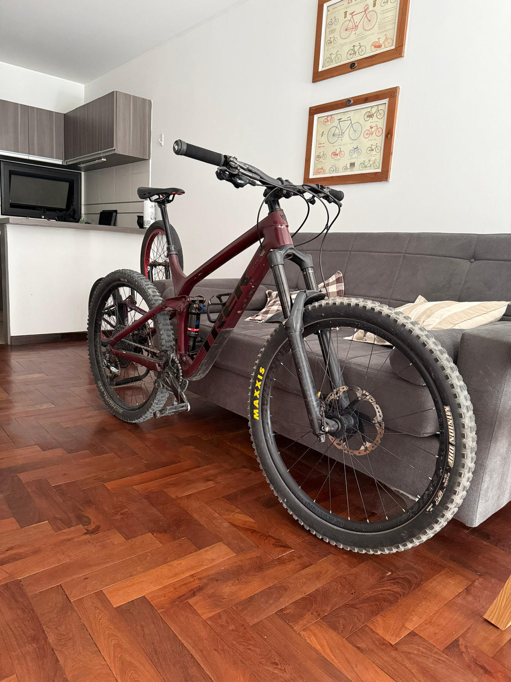 TREK REMEDY 9.7