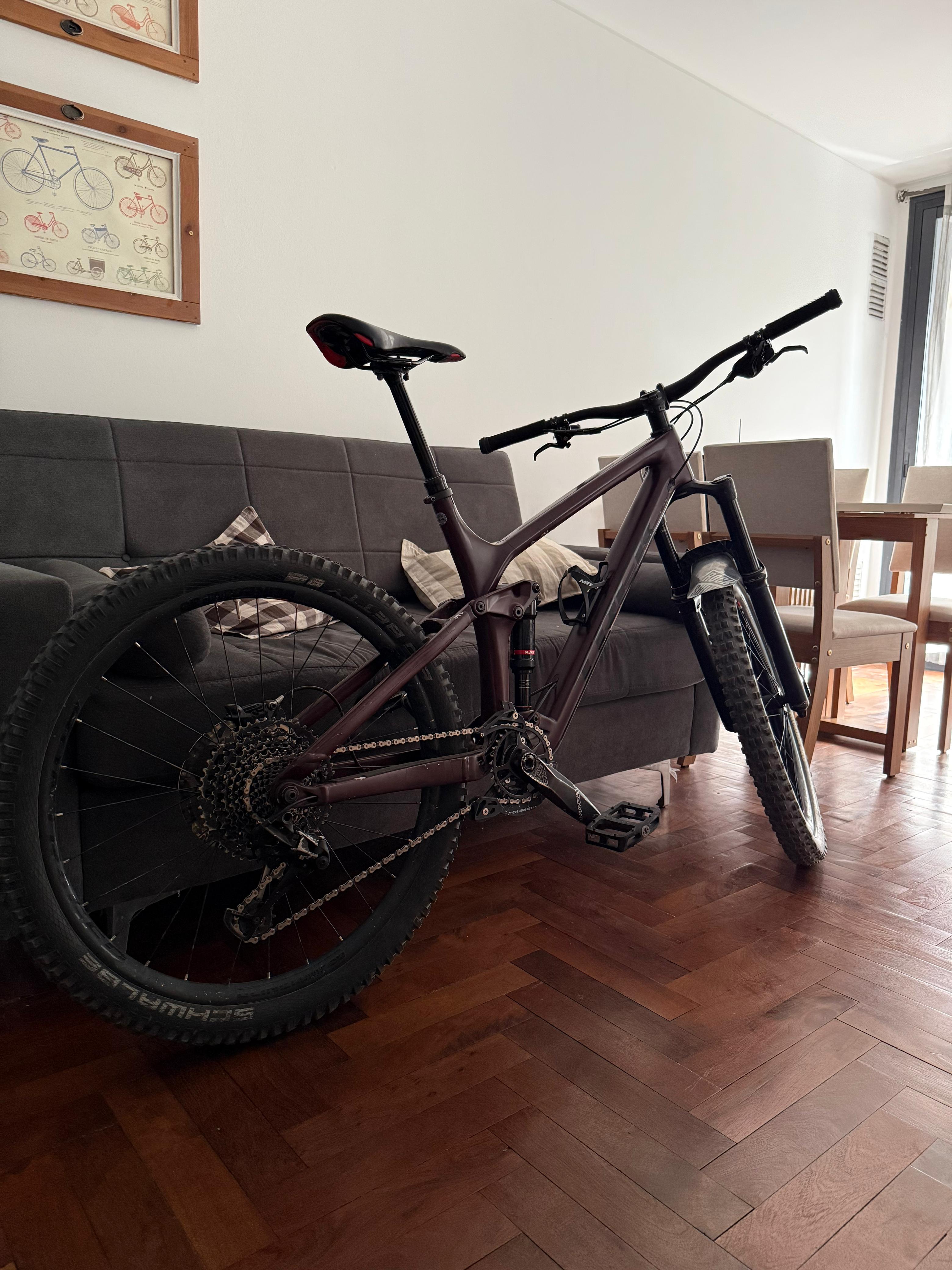 TREK REMEDY 9.7