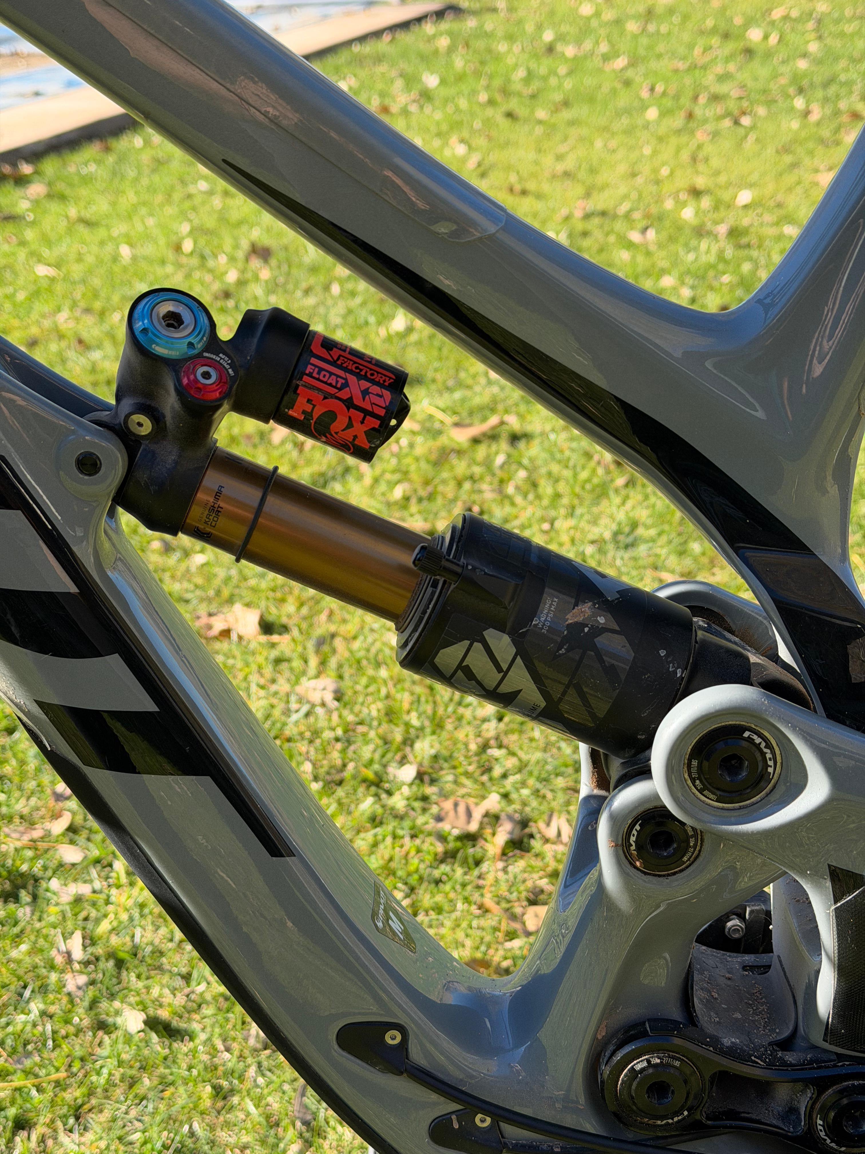 PIVOT PHOENIX 29