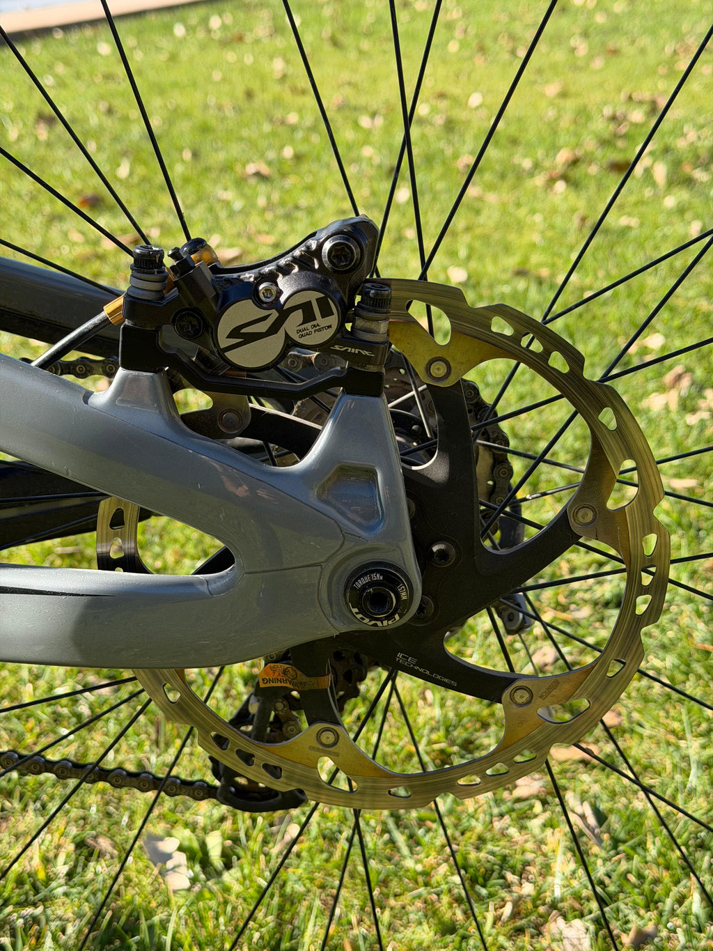 PIVOT PHOENIX 29