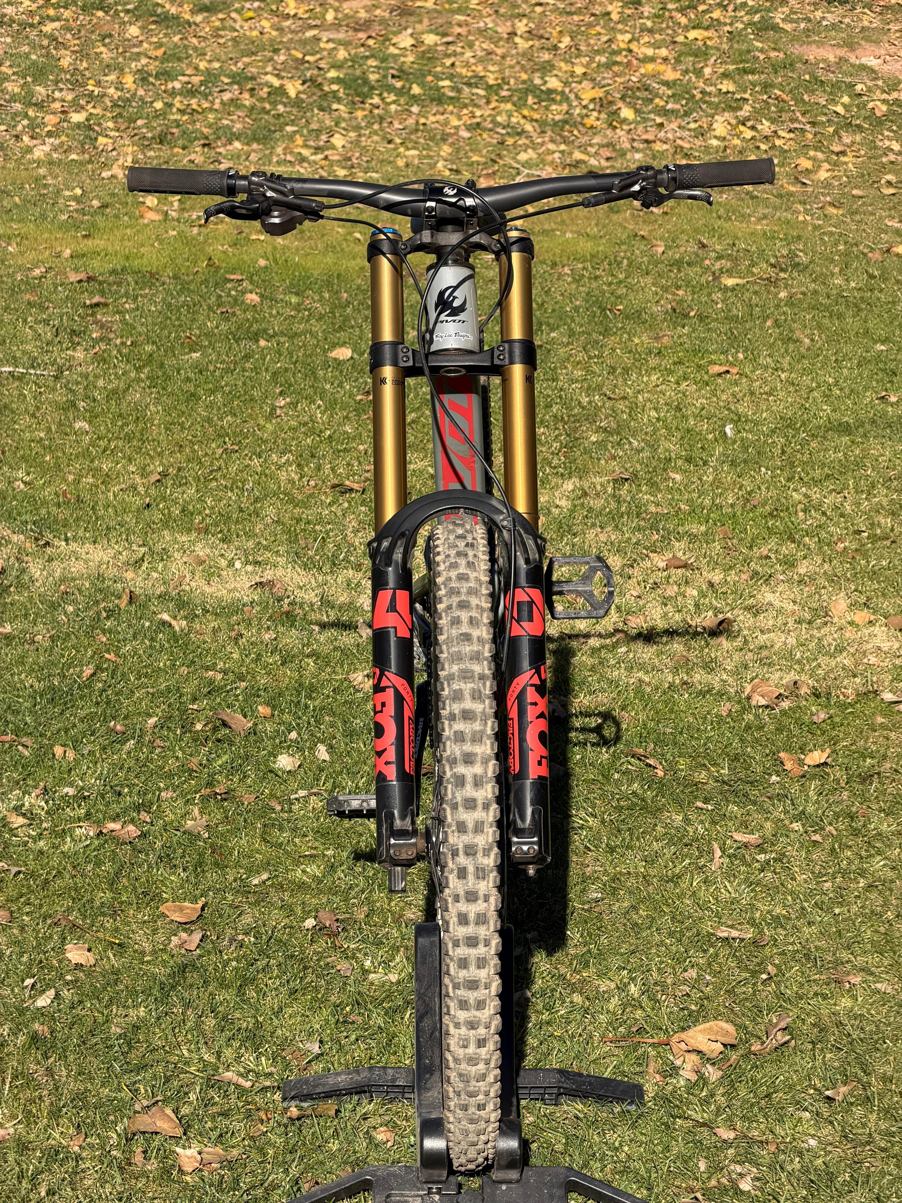 PIVOT PHOENIX 29