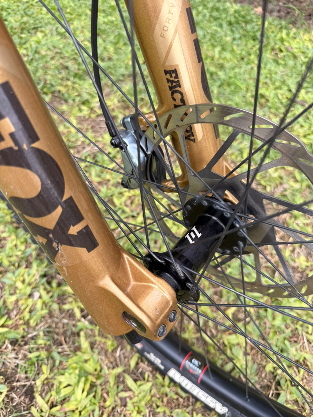 SANTA CRUZ V10CC