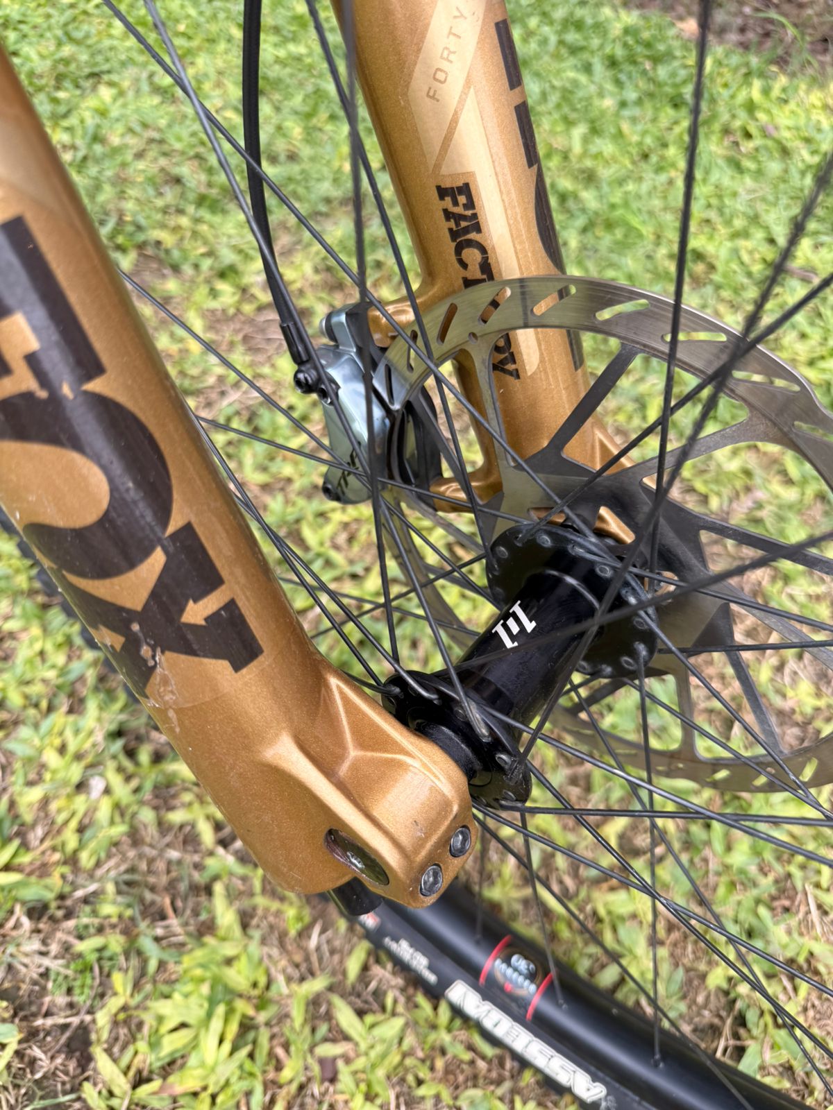 SANTA CRUZ V10CC