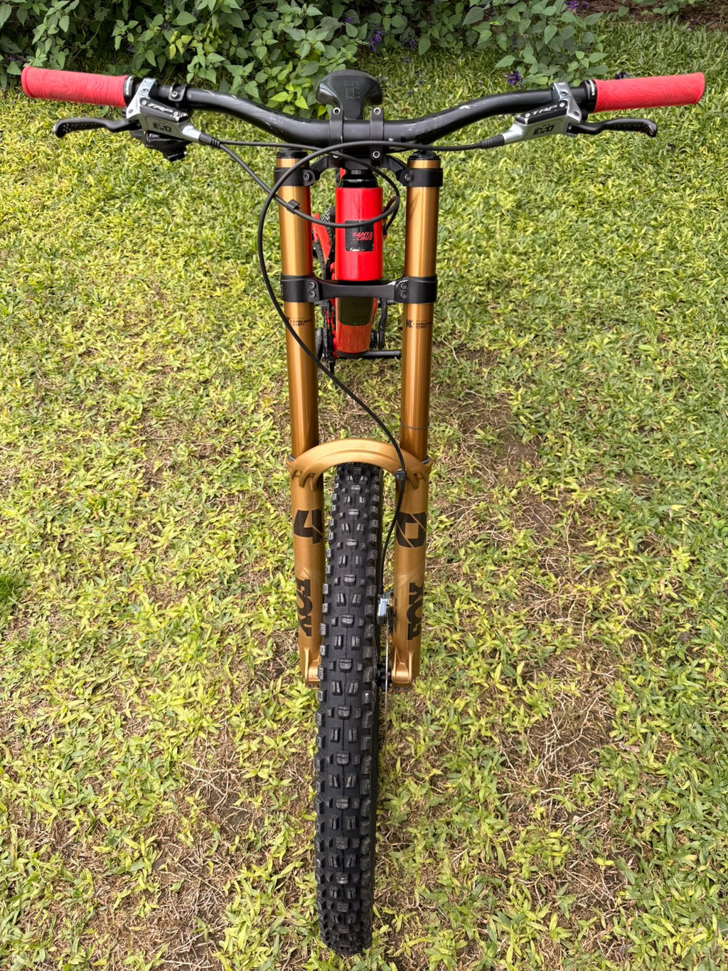 SANTA CRUZ V10CC