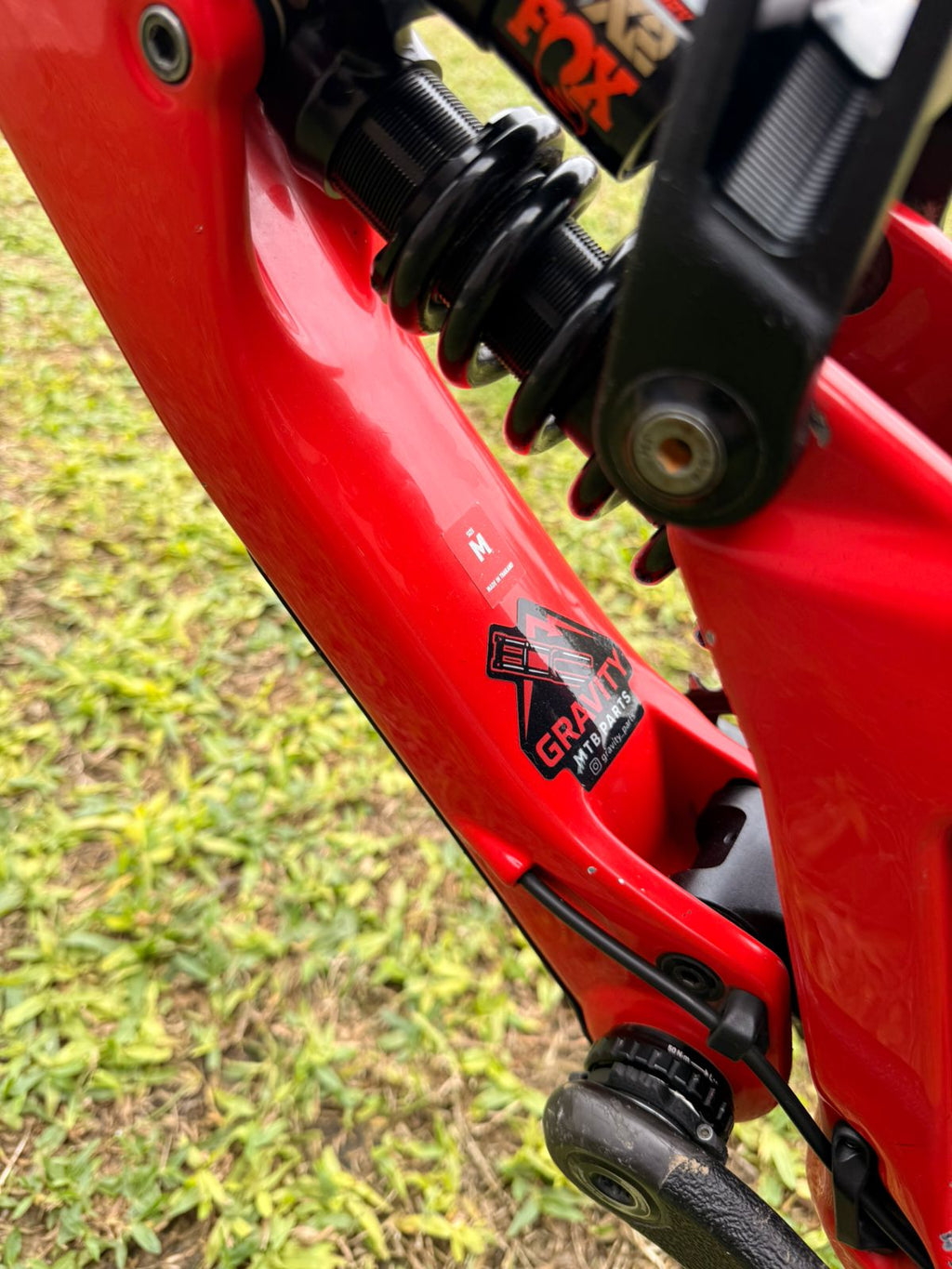 SANTA CRUZ V10CC