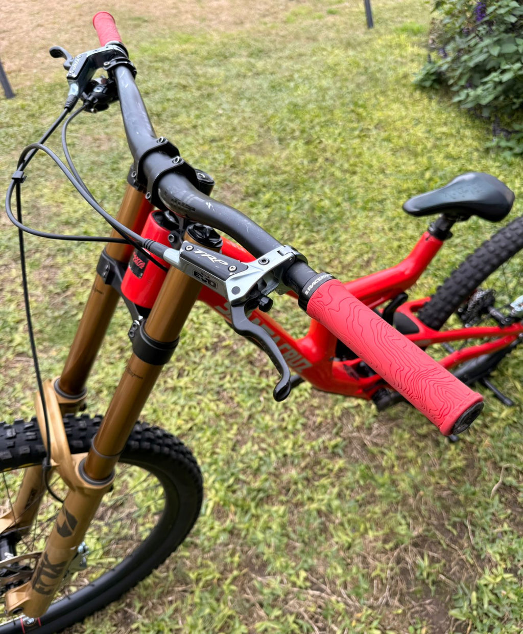 SANTA CRUZ V10CC