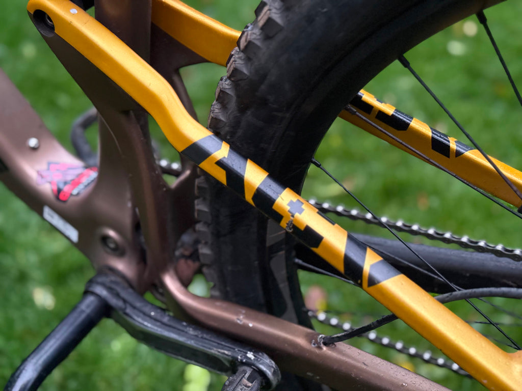 INTENSE ACV
